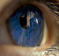 Germs Can Infiltrate the Body Via the Eyes