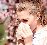 Our Eyes Versus Seasonal Allergies